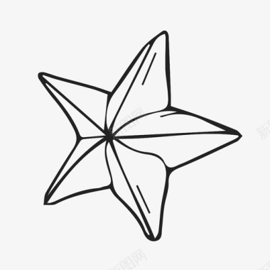 海星星形星鱼图标图标