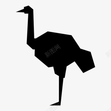 鸵鸟鸵鸟属长腿图标图标