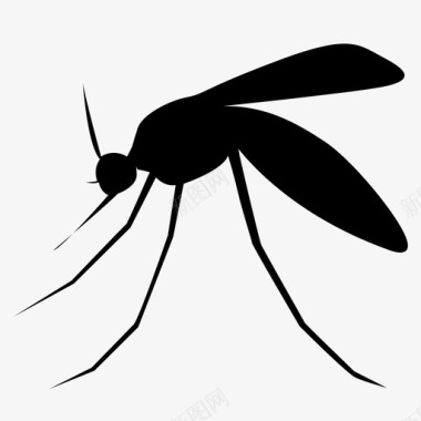 情侣的动物蚊子野生宠物图标图标