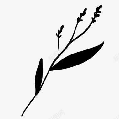 芳香草本植物花蕾纤细的茎图标图标