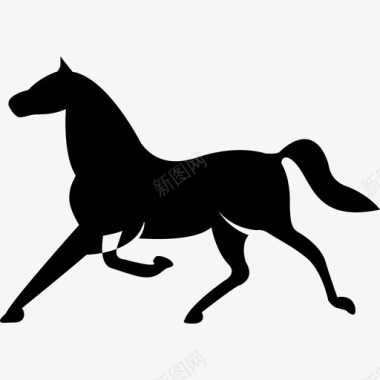 瘦而优雅的黑色的马奔跑姿势动物图标图标