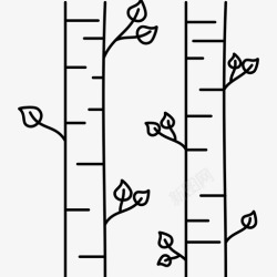 白桦树贴白桦白桦叶白桦树图标高清图片