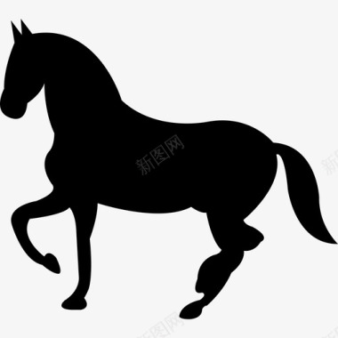 跳舞的黑马形状的侧视动物马图标图标