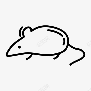 斑斑哈利波特老鼠图标图标