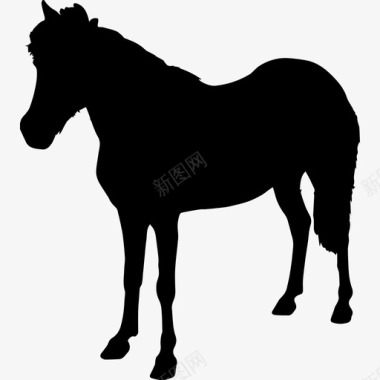 马站立动物黑色面朝左动物马3图标图标