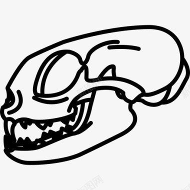 恐龙动物头骨猫头骨猫科动物尖牙图标图标