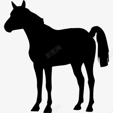 马站着安静的黑色面朝左边动物马3匹图标图标