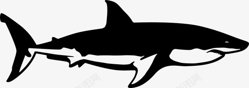 鲨鱼食肉动物鱼类图标图标