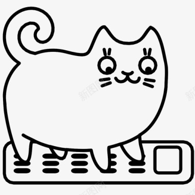 猫屁股猫计算器猫的数字猫的数学图标图标