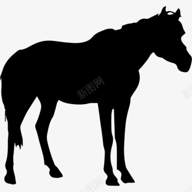 黑色背景从侧面看马黑色的形状动物马3图标图标