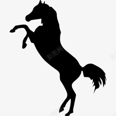 马站在两个后爪黑色侧视图剪影动物马3图标图标
