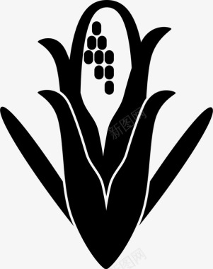 东北大米玉米大米植物图标图标