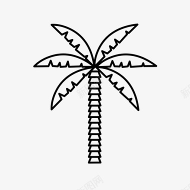 棕榈树夏威夷岛图标图标