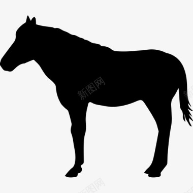 马站立从侧面看黑色的形状动物马3图标图标