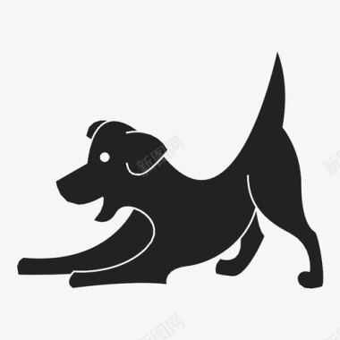 狗尾巴宠物图标图标