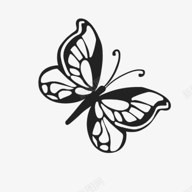 美丽邂逅蝴蝶昆虫飞舞图标图标