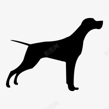 狗赛特犬短尾巴图标图标
