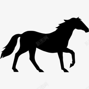 骏马漫步优雅的黑色侧影动物马3图标图标