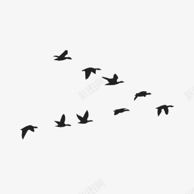 翅膀鹅鸟群图标图标