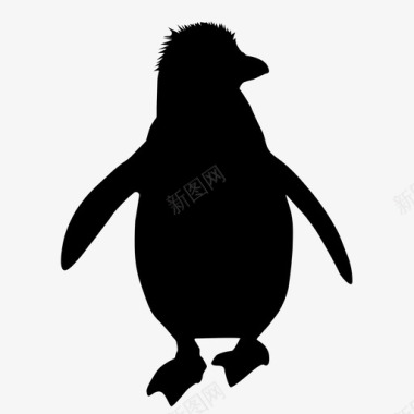 企鹅企鹅动物水生图标图标