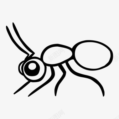 蚂蚁举重蚂蚁动物虫子图标图标