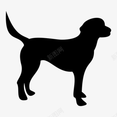 狗动物1图标图标