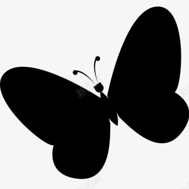 矢量蝴蝶蝴蝶动物美丽图标图标