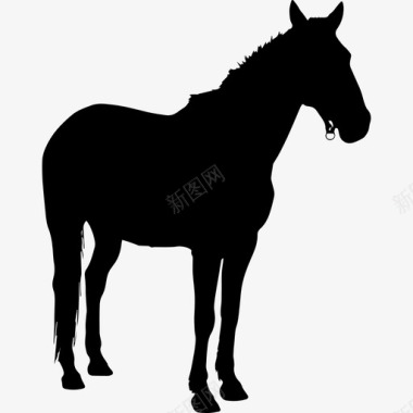 马站立黑色侧影面朝右动物马3图标图标