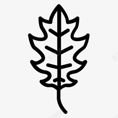 橡树叶桤木秋天图标图标