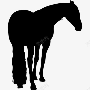 马黑色长尾形动物马3图标图标