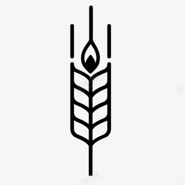 小麦玉米卷沙拉图标图标