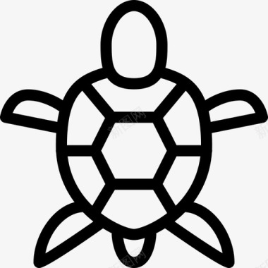爬行动物海龟动物海洋图标图标