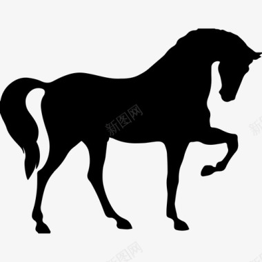 马站在三只爪子的黑色侧面动物马3只图标图标