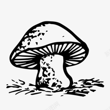 扁平化风格的树蘑菇好蘑菇蔬菜图标图标