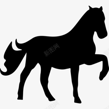 马抬起一只脚的轮廓动物马图标图标