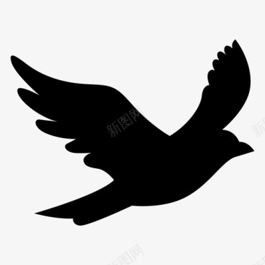 翅膀鸟黑鸟携带图标图标