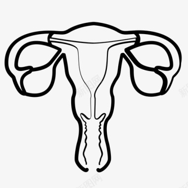 女人说话子宫生命器官图标图标