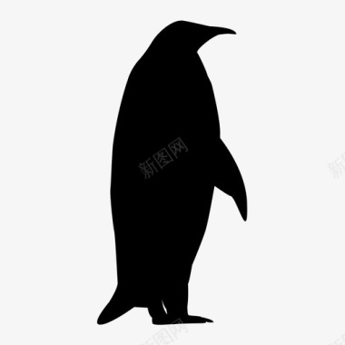企鹅企鹅图标图标