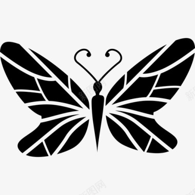 带翅膀心黑色蝴蝶俯视带线条翅膀动物蝴蝶图标图标