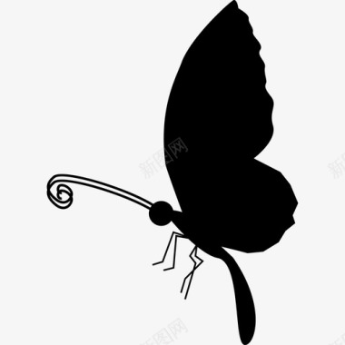 长尾巴和长天线的蝴蝶侧视图动物蝴蝶图标图标