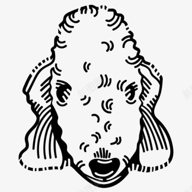 贝灵顿造型贝灵顿梗akc犬科图标图标