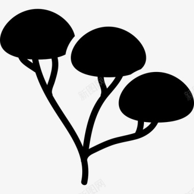 树的三个分支和树叶区域自然树图标图标