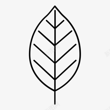 山毛榉叶树茎图标图标