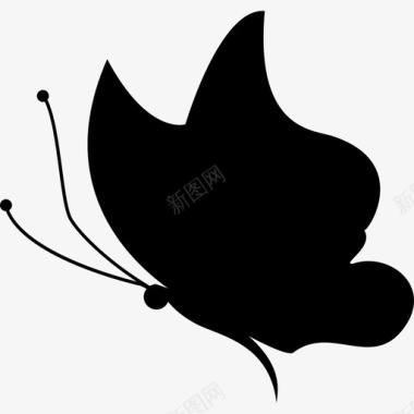 蝴蝶黑色的形状朝左动物蝴蝶图标图标