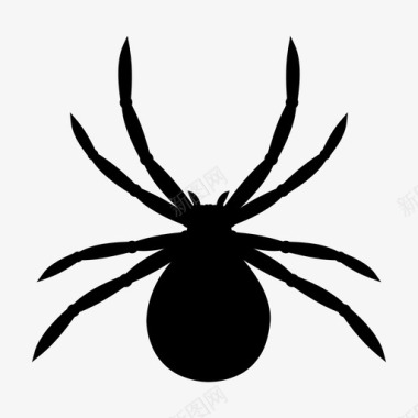 红背蜘蛛澳大利亚动物图标图标