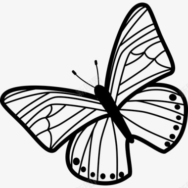 薄条纹蝴蝶翅膀图案从俯视图向左旋转动物蝴蝶图标图标