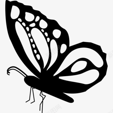 飘浮装饰蝴蝶美丽的侧视形状翅膀上有装饰图案动物图标图标