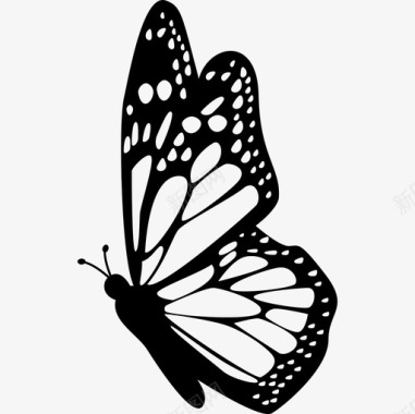 详细的图标带详细翅膀动物蝴蝶的蝴蝶侧视图图标图标