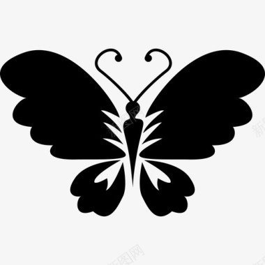 张开翅膀的黑色蝴蝶俯视图动物蝴蝶图标图标