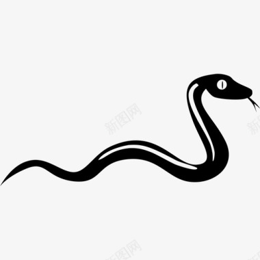 爬行动物蛇动物眼镜蛇图标图标
